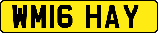 WM16HAY