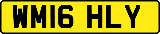 WM16HLY