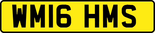 WM16HMS