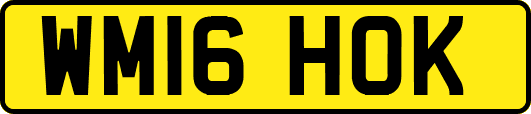 WM16HOK