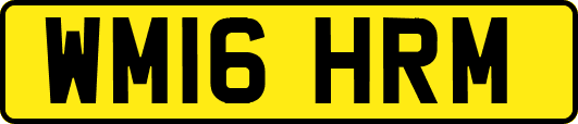 WM16HRM