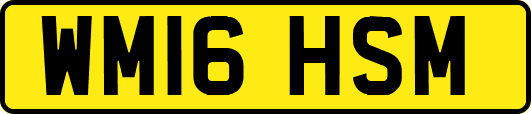 WM16HSM