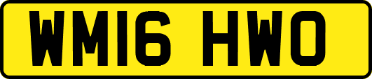 WM16HWO