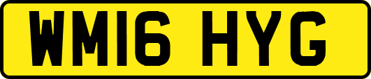 WM16HYG