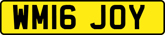 WM16JOY