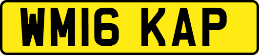 WM16KAP