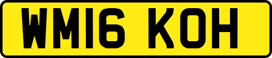 WM16KOH