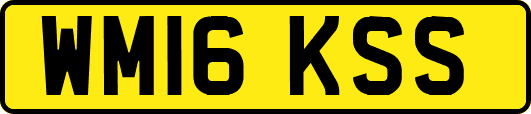 WM16KSS