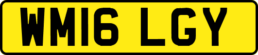 WM16LGY