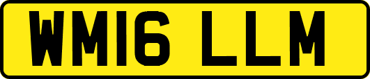 WM16LLM