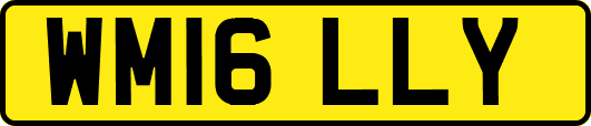 WM16LLY