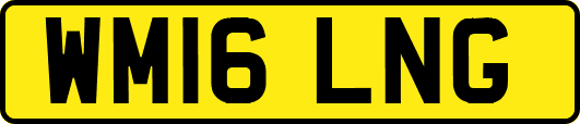 WM16LNG