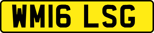 WM16LSG