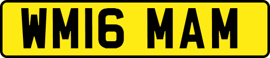 WM16MAM