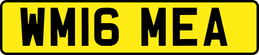 WM16MEA