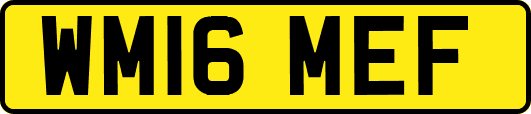 WM16MEF