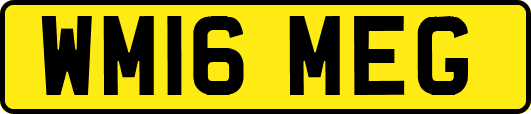 WM16MEG