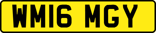 WM16MGY