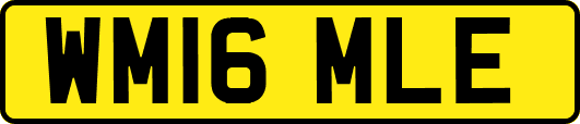 WM16MLE