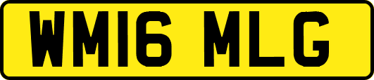 WM16MLG