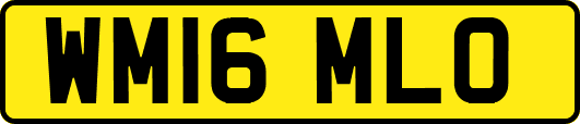WM16MLO