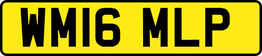 WM16MLP