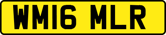 WM16MLR