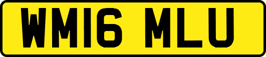 WM16MLU