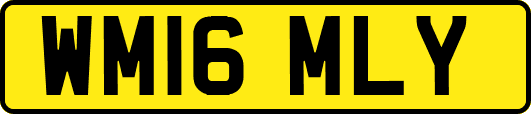 WM16MLY