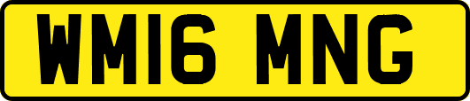 WM16MNG