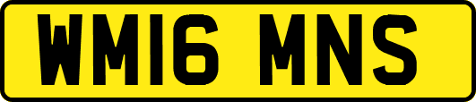 WM16MNS