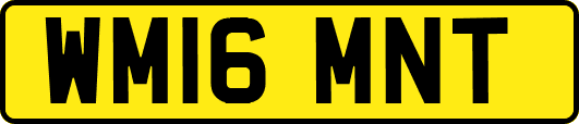 WM16MNT