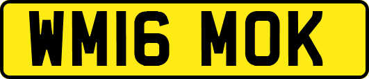 WM16MOK