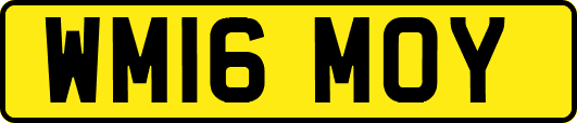 WM16MOY