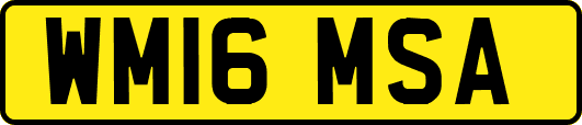 WM16MSA