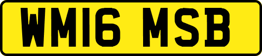 WM16MSB