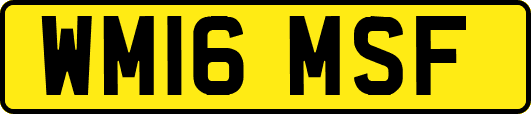 WM16MSF