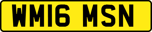 WM16MSN