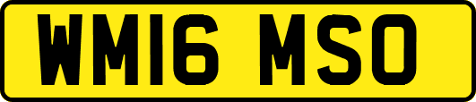 WM16MSO