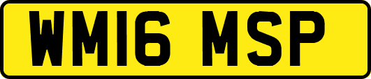 WM16MSP