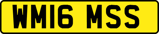 WM16MSS