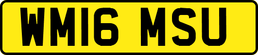 WM16MSU