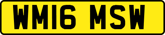 WM16MSW