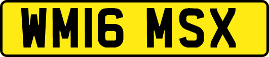 WM16MSX