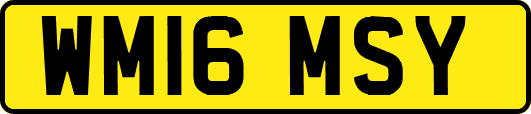 WM16MSY