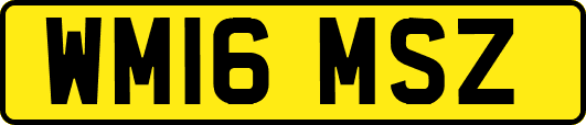 WM16MSZ