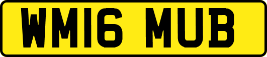 WM16MUB