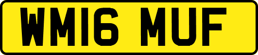 WM16MUF