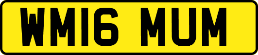 WM16MUM