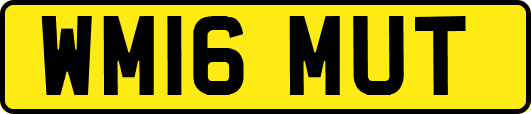 WM16MUT